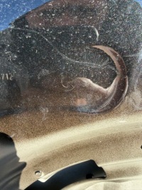 Капот крышка двигателя bmw ix i20 eu Недорого, фото thumb