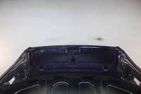 фото thumb №9, Капот audi a5 8w6