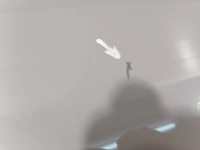 фото thumb №11, Porsche 911 992 спойлер спойлер крышка 992827939