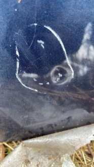 фото thumb №12, Дверь правый перед передние kgnc peugeot 508 i