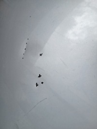 фото thumb №7, Капот c4 cactus przed liftem 2014-17