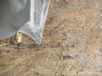 фото thumb №10, Капот перед peugeot bipper