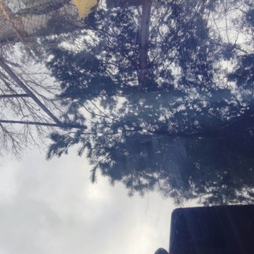 фото thumb №9, Капот перед audi a6 c5 рестайлінг ly5k