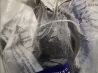 фото thumb №2, Джгут кабелі фаркоп електропроводка volvo 31257504