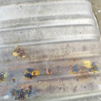 фото thumb №7, Audi a5 2019 гаситель kompletny