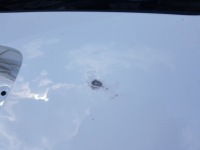 фото thumb №4, Kia sportage 3 iii 10-15r крышка багажника багажника задняя wd