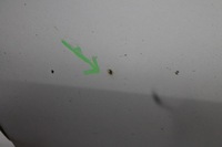 фото thumb №5, Дверь левый перед renault laguna iii ted69 07-13