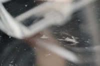 фото thumb №10, Bmw 7 g11 передний правый фара 7471320 2014 rhd 26276859