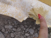 фото thumb №8, Bmw e84 стеля панорама