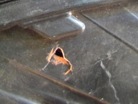 фото thumb №11, Skoda kodiaq 566 16- full led права перед