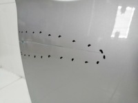 фото thumb №8, Дверь правое передние перед bmw x1 e84