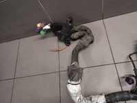 фото thumb №14, Жгут двигателя audi a8 d3 3.0 tdi uk 4e2971713an