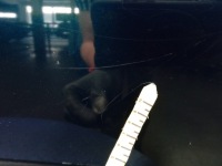 Octavia iii kombi двері задній праве задні lw5q Доставка, фото thumb