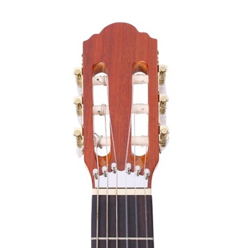 String Tuner System Professional Заменяет гитарные аксессуары на серебряные.
