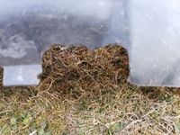 фото thumb №4, Подкрылок левая передние opel vivaro 14- 93867899