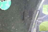 фото thumb №14, Honda civic x 17-21 бампер передній перед