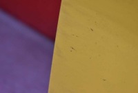 фото thumb №10, Дверь правое перед передние жёлтые fiat doblo lift 05-17