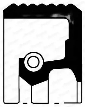 фото thumb №1, Уплотнительное кольцо сальник вала коленчатого na5108 payen