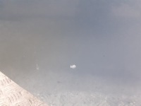 фото thumb №5, Дверь правый задняя opel vectra c