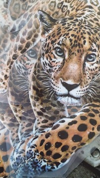 ТЕРМОНАКЛЕЙКА НАКЛЕЙКА PANTHER P64