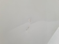 Nissan qashqai j10 дверь левая задний 326g с Разборки, фото thumb