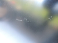 фото thumb №6, Chevrolet captiva 2006 2007 капот nowa оригінальна