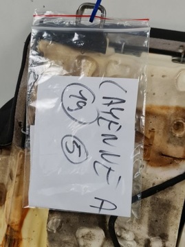 фото thumb №8, Сидіння сидіння лівий зад porsche cayenne ii 7p5