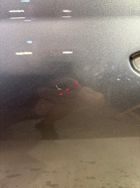 фото thumb №7, Дверь передние левая skoda octavia iv 4