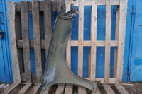 фото thumb №9, Subaru legacy iv крыло левый передний 35j granatowy