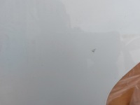 фото thumb №4, Дверь левая перед ford transit custom 14r белый aa