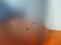 фото thumb №9, Lexus rx iv lift 19-22 бампер задня задній 52159-48270