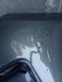 фото thumb №5, Ford s-max mk2 2015-19r. - бампер перед 6xpdc