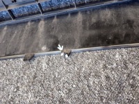 Audi a4 b9 8w lift 19- бампер передний перед Доставка, фото thumb