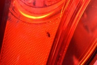 фото thumb №10, Лампа левая задняя задняя 27099002 vw passat cc 08-12