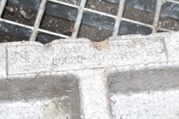 фото thumb №1, Абсорбер заднього бампера hyundai santa fé ii cm 866202b700 2.2l дизель