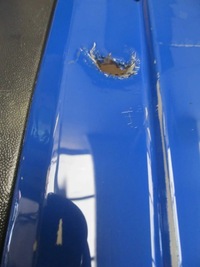 фото thumb №5, Skoda rapid spaceback 13-19 бампер задня задній задній c410