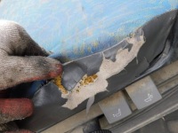 фото thumb №12, Iveco daily 35s13 2001r - сиденье левый водителя