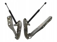 фото thumb №1, Петля петли капот левый правый комплект citroen ds5 2011-2015