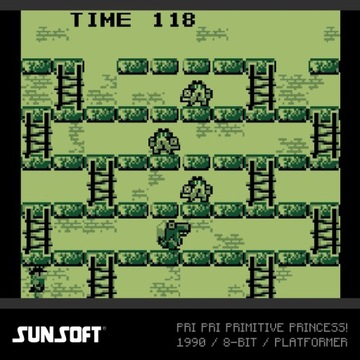 EVERCADE #38 — игровой набор Sunsoft 2