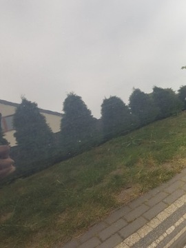 фото thumb №6, Hyundai ix35 двері ліві перед передні 1k