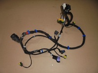 фото thumb №1, Жгут дверь левая перед maserati quattroporte 06