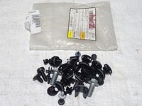 фото thumb №1, Набор винт монтажных дверь задняя левый правый vw t-roc 17-21 2ga898620