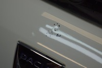 фото thumb №10, Крышка багажника зад dacia sandero ii stepway ov369