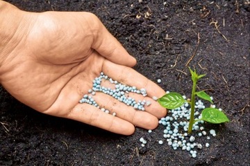 BIOPON NUTRIENT, КОМПАКТНОЕ УДОБРЕНИЕ ДЛЯ МАГНОЛИИ МАГНОЛИЯ