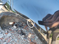 фото thumb №15, Четверть крыло правый левый pas задняя крыша панорама audi a3 rs3 8v hb