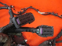 фото thumb №8, Laguna iii купе 3.0 dci установка жгут двигателя