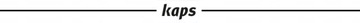 Краска для натуральной и синтетической кожи - KAPS