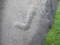 фото thumb №4, Seat leon iii hb підкрилок задні ліві 5f0810971