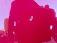 Mercedes benz a klasa w176 капот кришка двигуна перед 589 Зі Шроту, фото thumb