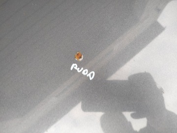 фото thumb №6, Капот nissan qashqai i j10 + 2 2006-2009 оригинал b52 g